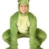 Adult Deluxe Frog Costume
