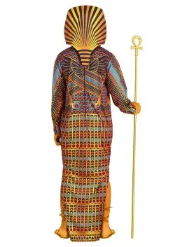 Adults King Tut Sarcophagus Costume -Halloween Costumes Outlet Store adult king tut sarcophagus costume 1