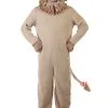 Adult Lion Costume