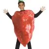 Ghost Pepper Costume For Boys -Halloween Costumes Outlet Store boys ghost pepper costume