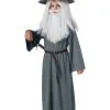 Classic Gandalf Costume For Kids -Halloween Costumes Outlet Store child classic gandalf costume