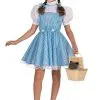 Kids Deluxe Dorothy Costume -Halloween Costumes Outlet Store child deluxe dorothy costume