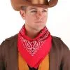Brown Western Outlaw Vigilante Cowboy Costume Hat