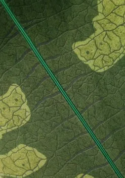 Kids Dilophosaurus Costume 19 Kids Dilophosaurus Costume -Halloween Costumes Outlet Store dilophosaurus costume for kids 2