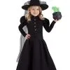 Girl's Deluxe Classic Witch Costume For Todders