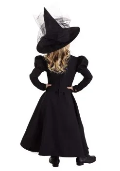 Girl's Deluxe Classic Witch Costume For Todders -Halloween Costumes Outlet Store girls toddler deluxe witch costume alt 1