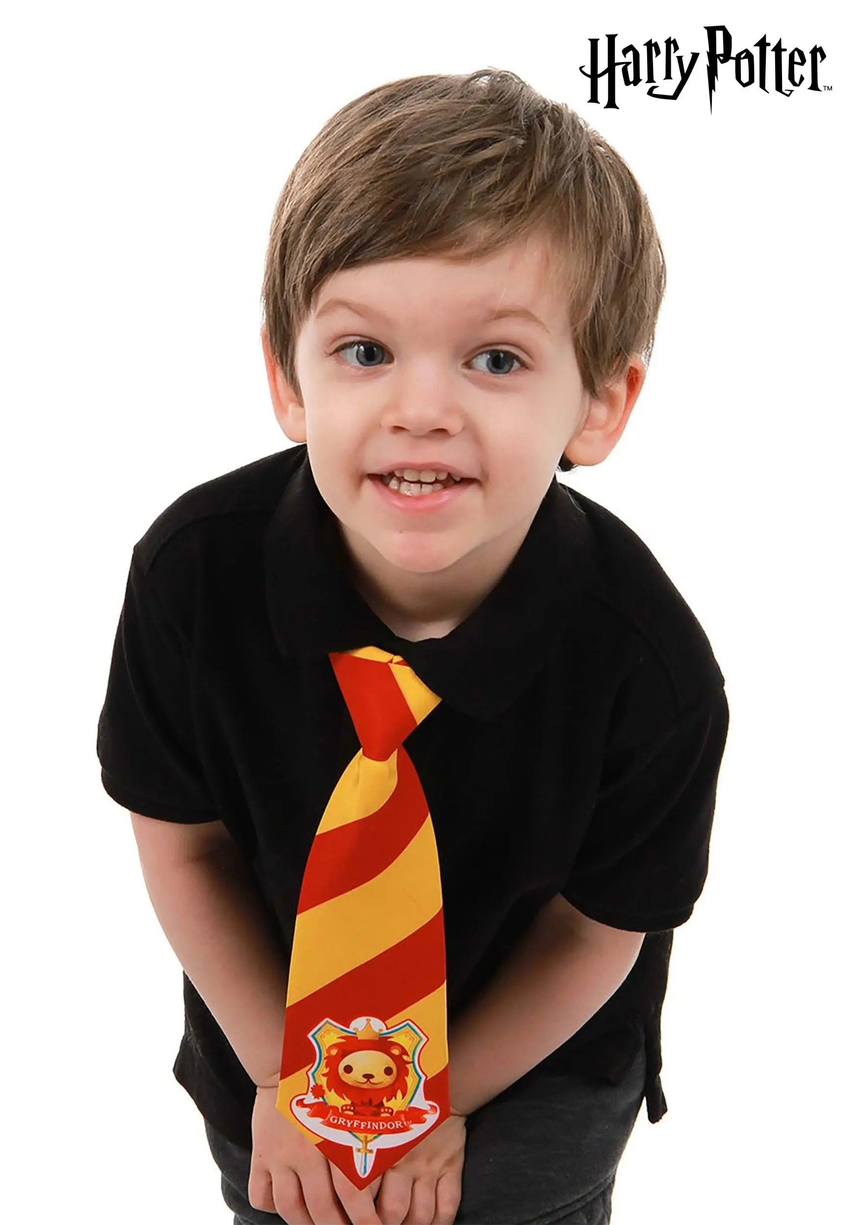 Gryffindor Class Toddler Tie 3 Gryffindor Class Toddler Tie