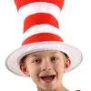 Cat In The Hat Costume Hat For Kids