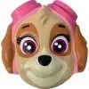 Paw Patrol Skye Mask For Kids
