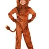 Proud Lion Costume For Kids