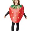 Kid's Strawberry Costume -Halloween Costumes Outlet Store kids strawberry costume