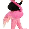 Plus Size Graceful Flamingo Costume For Adults