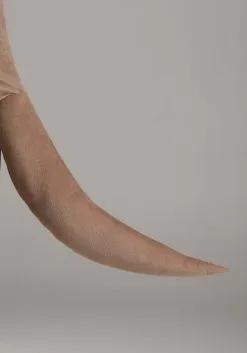 Plus Size Adult Otter Costume -Halloween Costumes Outlet Store plus size otter costume alt 4