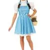 Wizard Of Oz Dorothy Teen Costume -Halloween Costumes Outlet Store wizard of oz teen dorothy costume update
